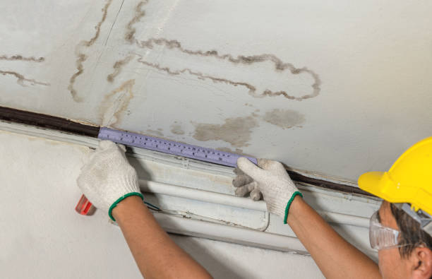 Reliable Water Damage Repair contractor in Fairfax, SC by Hirex Water Damage